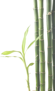 Bambus Deko Massage